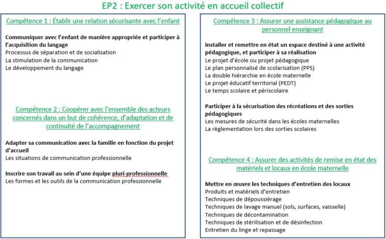 Exemple De Projet D'accueil Ep3 Cap Aepe